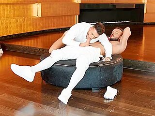 Sir Peter And Pol Prince - Fencer Boners