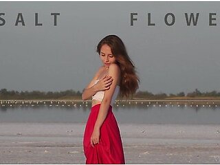 Salt Flower - Nicolina