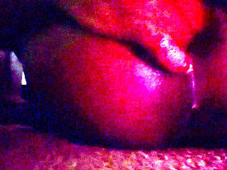 Xoxoxo