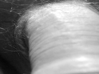Tried a few close-ups
