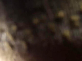 POV Interracial Blowjob with a Big White Cock and a Sweet Ebony Mouth That Receive a Huge Load in Mouth