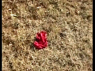 Brunette German Cougar with Naturals Gets Railed in Outdoor Orgy