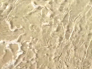 I Love the Sea and the Sun