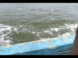 A Journey Through the Sea