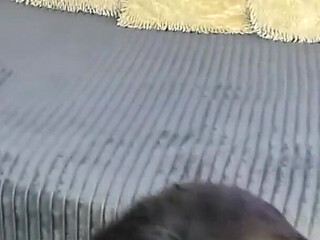 Submisie Petite Teens Webcam