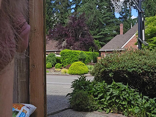 Looking Out The Gates