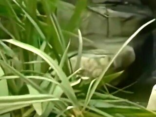 Brooke banner is a cock crazy cum loving slut