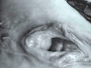 Ultimate Babe Squirting