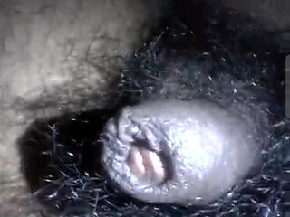 My dick is hungry for pussy