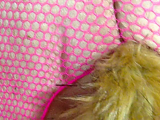 Stepdaddy Wants a Tail Standing up Cumming Need a Sloppy Pail