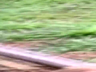 Hardcore Clip Seven Sluts Screaming in XXX Orgy Overdrive