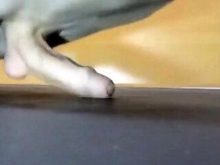 Twink Pushup Humping