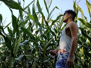 Summer Jerk off in Corn Field - Twitching Cumming Cock