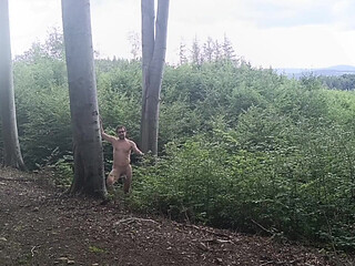 Between the Beeches: Rough Exhibition on Bare Wood
