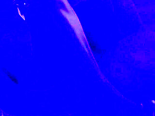 Pussy Licking