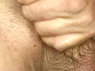 The penis is getting erect 