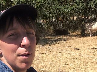 Couple fucks in the sunflower field