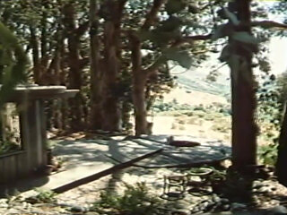 The Golden Age of Porn - Annette Haven 2