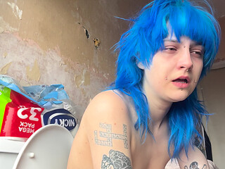 Honks on the Toilet