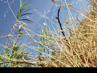 All naked in the vegetation