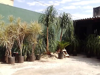 Diogobrasileiro - update #2 - VID 20231024 084410 - Oct 25, 2023