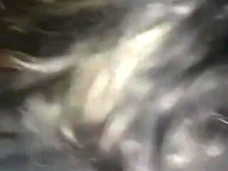 Wildenglishbbw BBC Nata4sex licking my pussy: blowjob, hardcore, ass to pussy