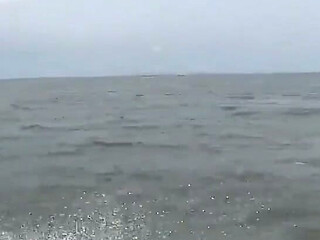 A Journey Through the Sea