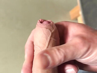 Lunchtime Dick