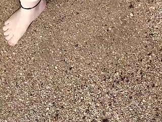 Short Test in the Mudflats on the Beach of Horumersiel