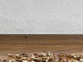 130kg Woman Walking on Pistachio Shells - Crunching Sounds