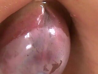 Both Holes for Bianca by Fister Twister