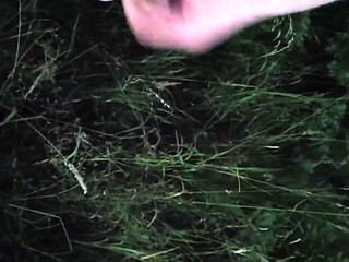 Nice Wank in the Park