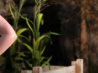 The genesis order (by NLT) - part. 29 (NVO)