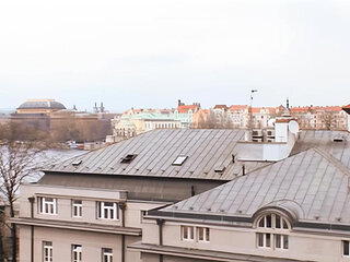 Cock Hungry and Ready