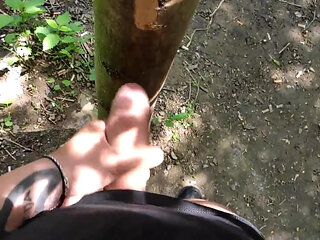 Cumshot on 'cum Here' Tree, Showing Cum Close up and Piss at a Cruising Area