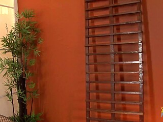 Blonde MILF Harmony enjoys hardcore anal action