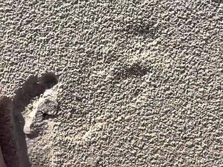 Comparing Size 16 Feet to Sand Prints at the Beach