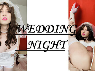 Wedding night of very horny tgirl Anna Rios