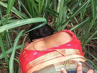 My Sexy Wife and I Hot in Sugarcane Field Indian Sex Video