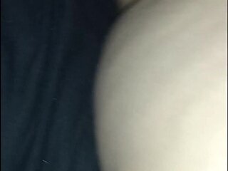 Anal Pregnant
