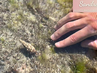 Spanish teases you on the beach and shows you her wet pussy