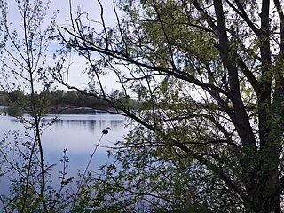 Jerking Off with My Thick Cock on the Lakeside Trail Behind Highway A61 - Speyer, Germany - Swollen Balls and Natural Scenery