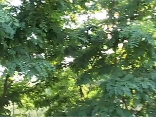 Cute blondie gets fucked in a park