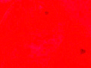 Anna Cummings Gets the Red Light Room Specialty From Mrflourish