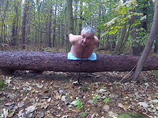 Part 2 Walk 73
