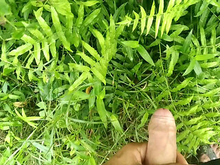 Big Cock Jerking in Beautiful Garden