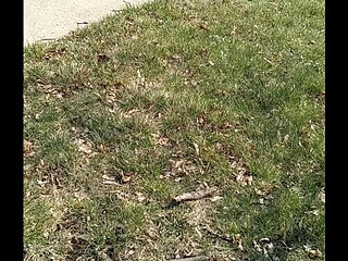 Outdoor in public 4