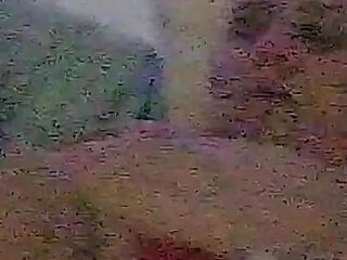 Time for Celebrations