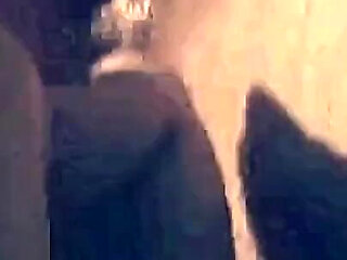 Vintage Sex Ends with Anal