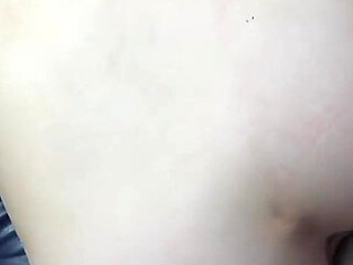 Asian Angel 25290